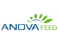 ANOVA FEED